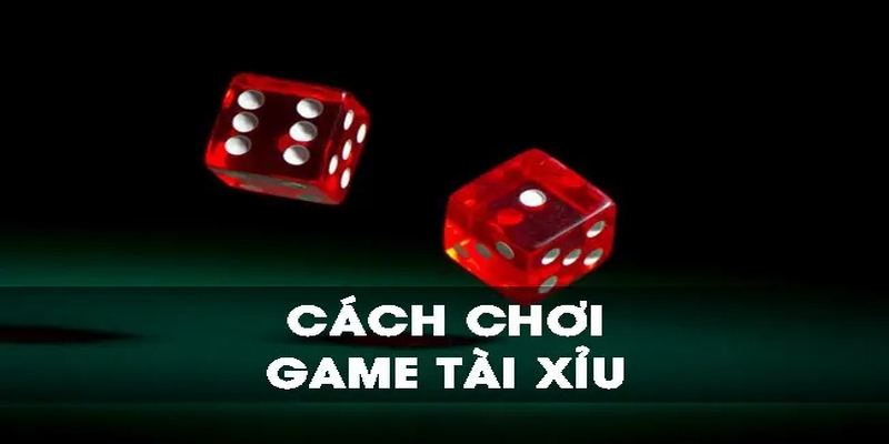 Hướng dẫn cách chơi tài xỉu